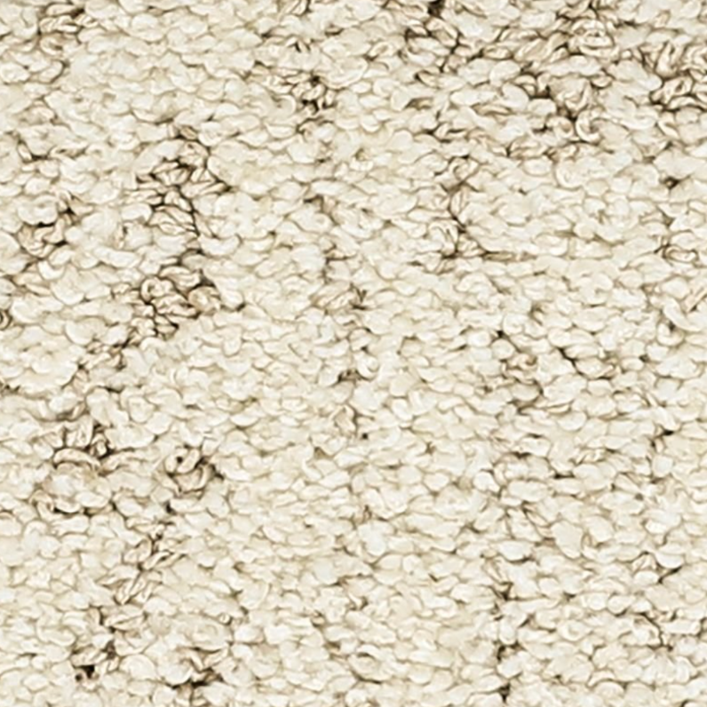 PETPremier® carpet: Bark And Roll